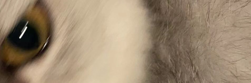 你先别急 banner