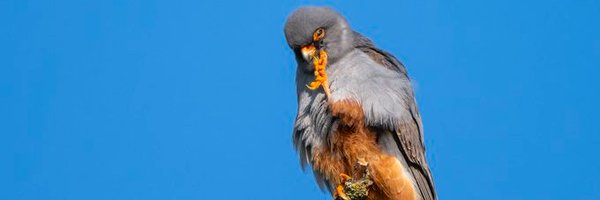 BTO_Suffolk Profile Banner