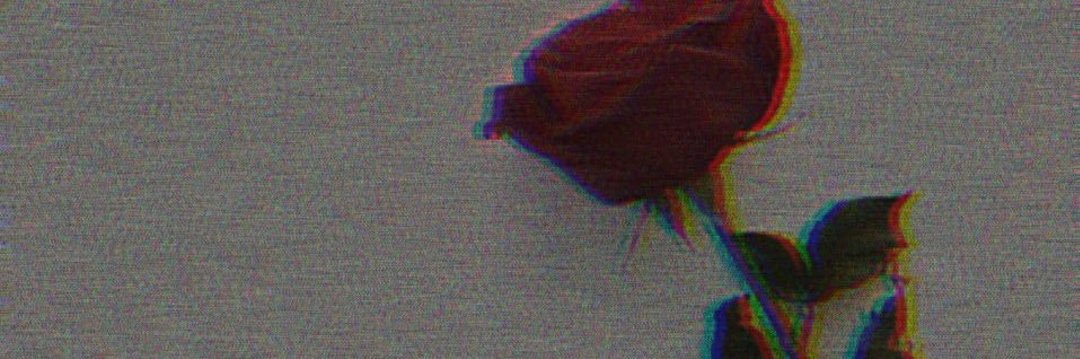 のん banner