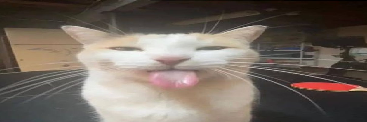 noidea1337's profile banner image
