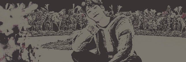anaïs banner
