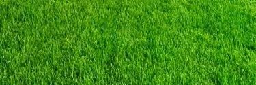 Lawn banner