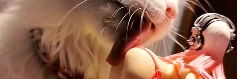 yaroste's profile banner image