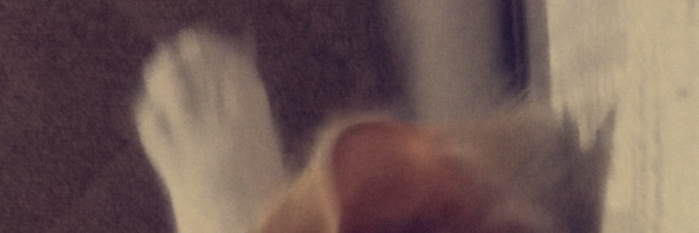 miiaav1's profile banner image