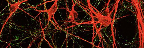 Lab_Vassiliki Profile Banner