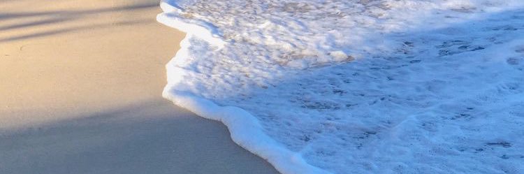 smildntw's profile banner image