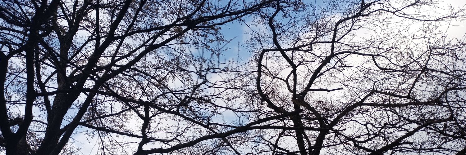 attna_ss's profile banner image