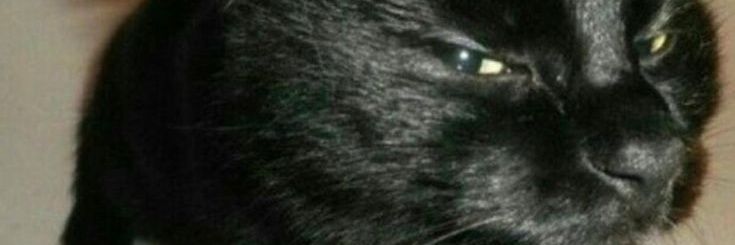 G3raldin3% banner