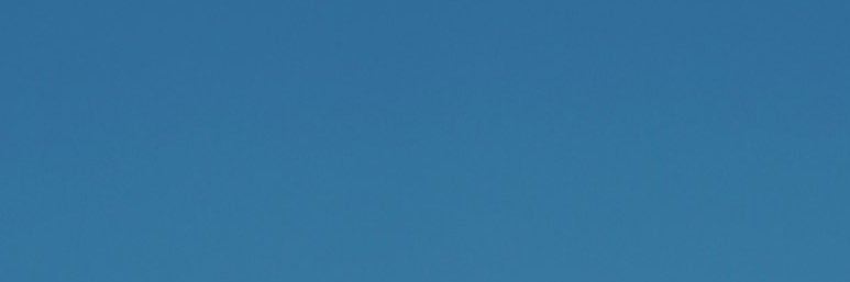 World Peace Forum banner