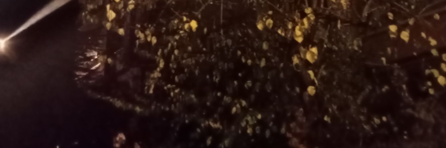 kodadiugur's profile banner image