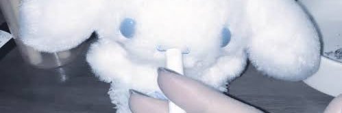 kaila banner
