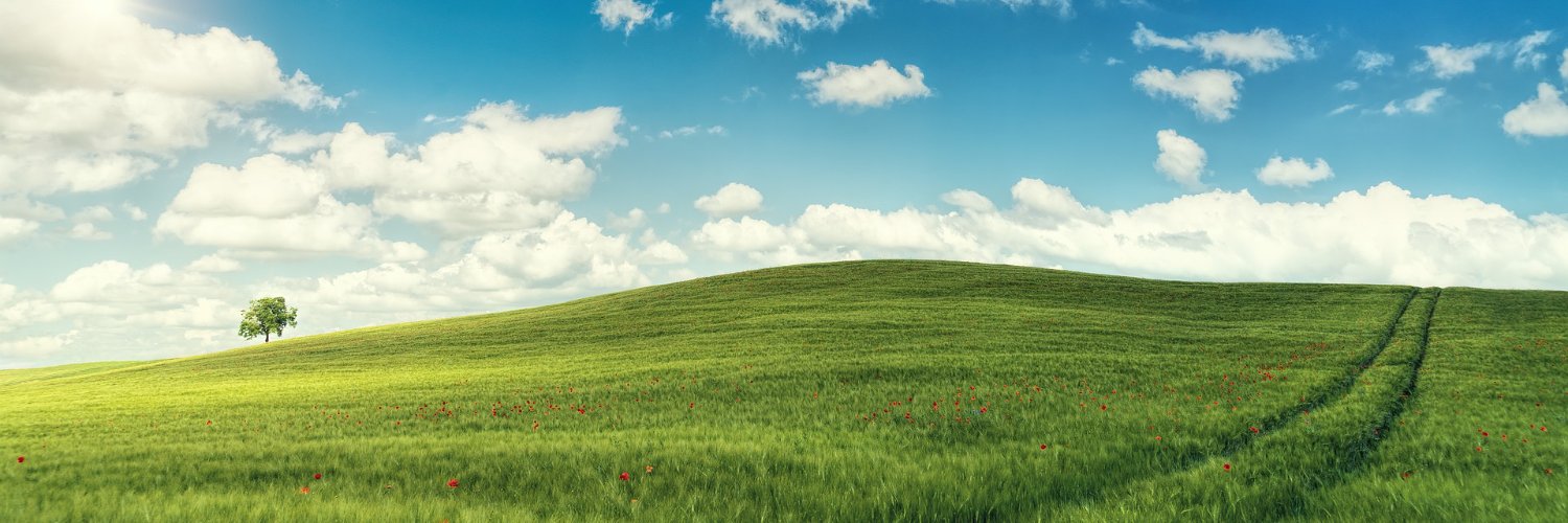SamYoun01928638's profile banner image