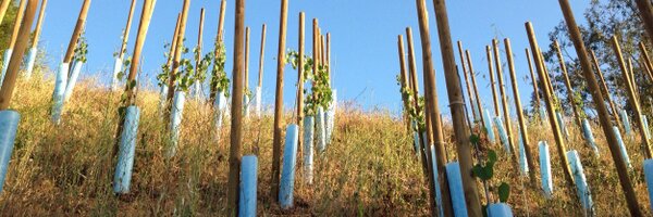 cabnoir Profile Banner