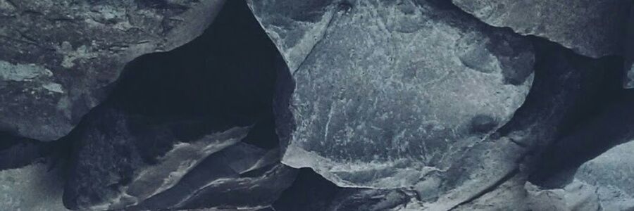 lizapleshevich's profile banner image