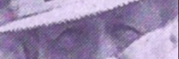 monicasaga Profile Banner