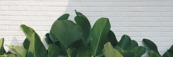 ghostyfemboy_ Profile Banner