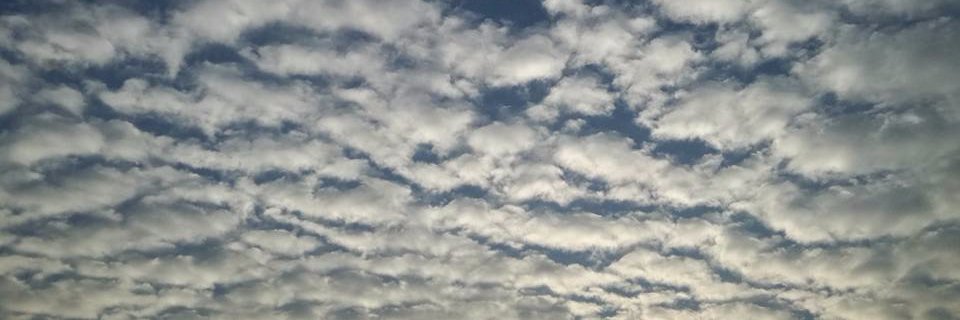 leolopezepitech's profile banner image