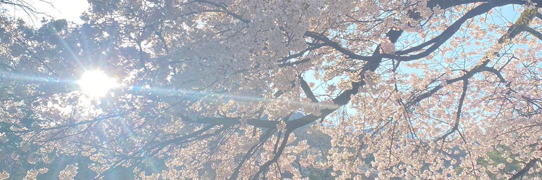 sgake's profile banner image