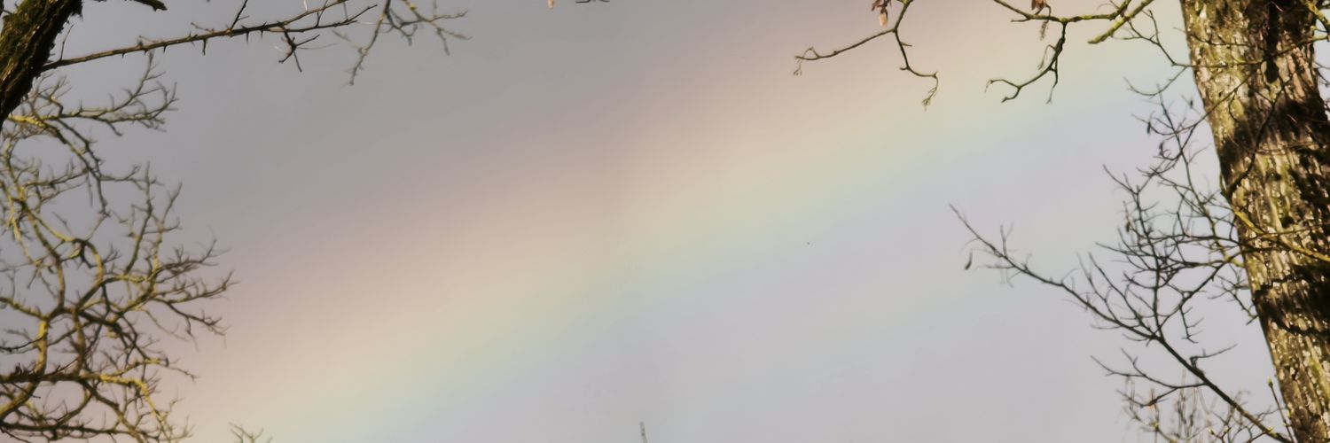 🚩AntiFanaccount🚩 banner