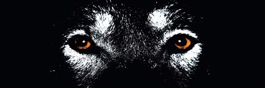 Sosaindahu's profile banner image