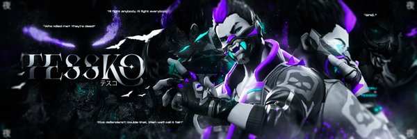 tessko20 Profile Banner