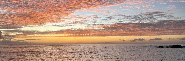 YiningDing Profile Banner