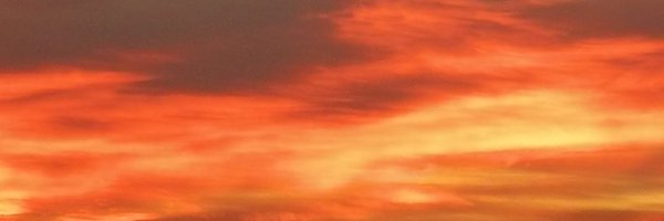 AnsiAle Profile Banner