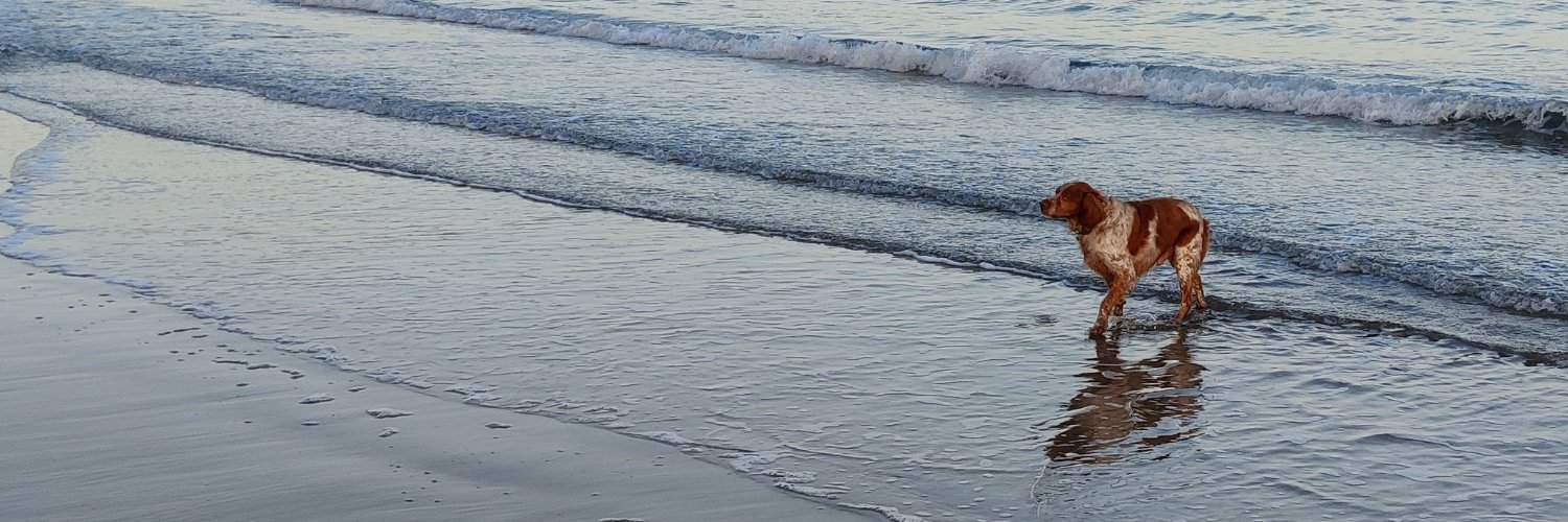 PeterRouchCA's profile banner image