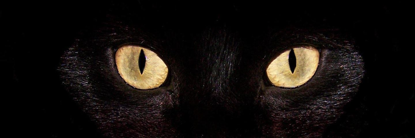 هگزن بیست☠️ banner