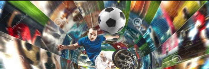 El Peñaverso banner