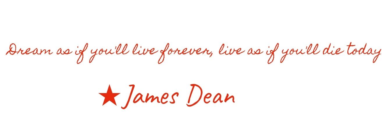 ¹³Leo𓆩ꨄ︎𓆪 banner