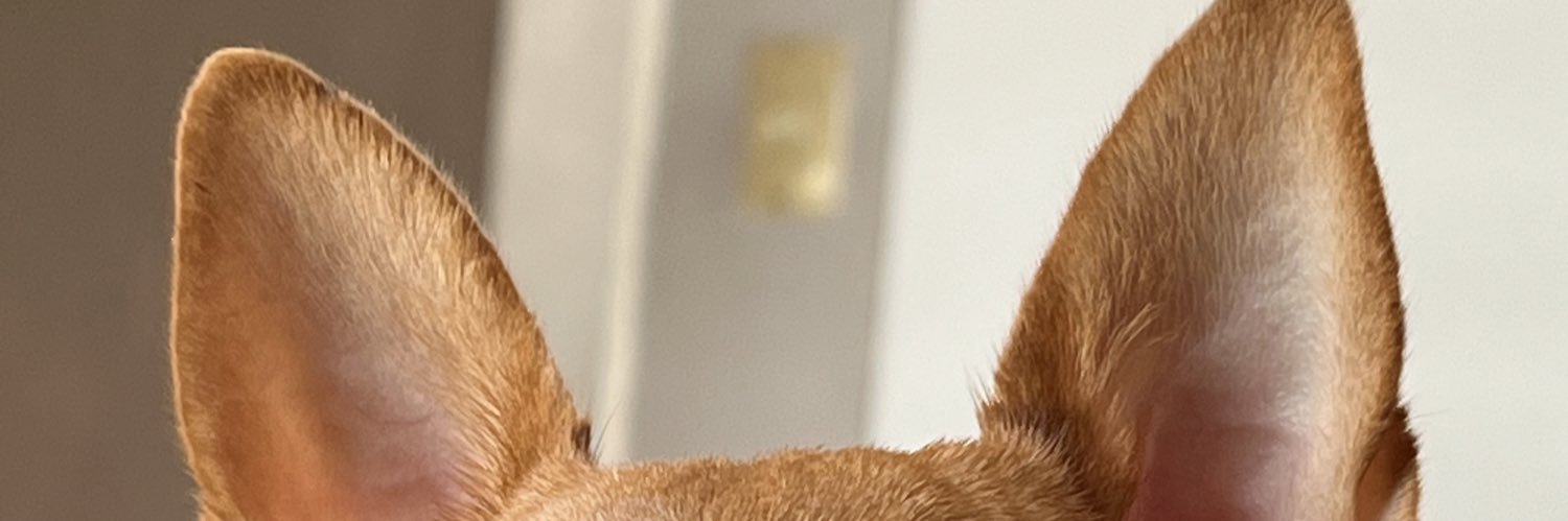 HeliaKtz's profile banner image