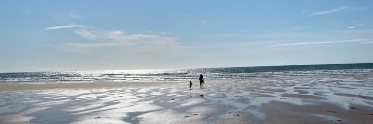 Susannah Hamilton banner