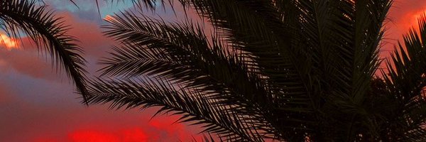 jamongmong_11 Profile Banner