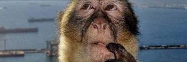 N-acetyl-P-aminophenol🔻 banner