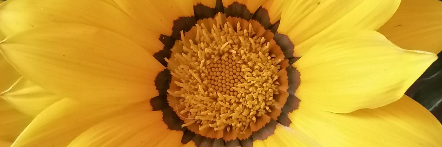 Fernandanais's profile banner image