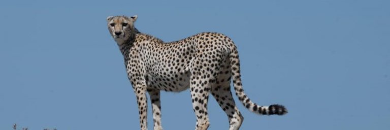 ErnestMagicTour's profile banner image