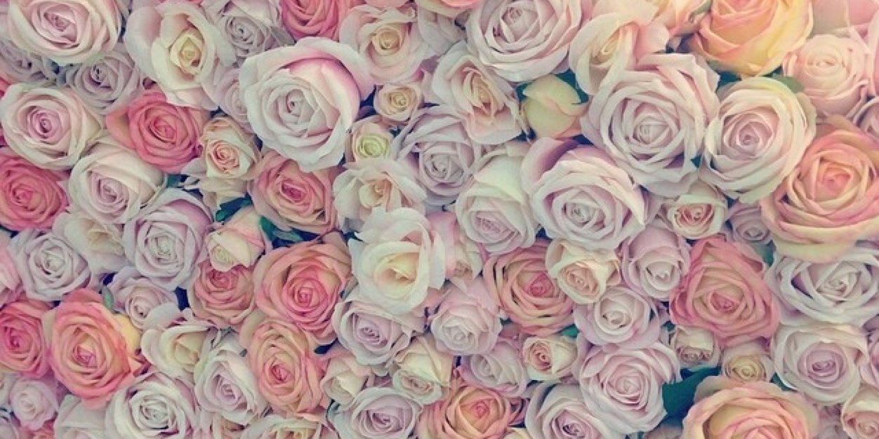 Victoria_Rose21's profile banner image