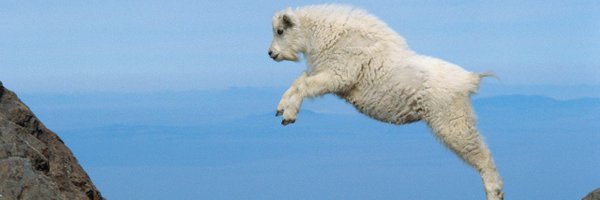 regaincs Profile Banner