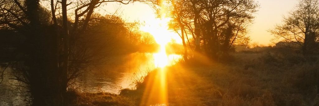 Pat O'Shaughnessy banner