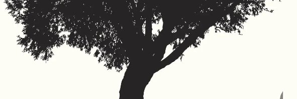 jtpgj4's profile banner image