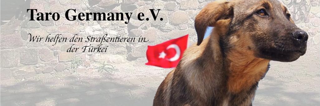 𝙏𝘼𝙍𝙊 𝙂𝙚𝙧𝙢𝙖𝙣𝙮 𝙚.𝙑. banner