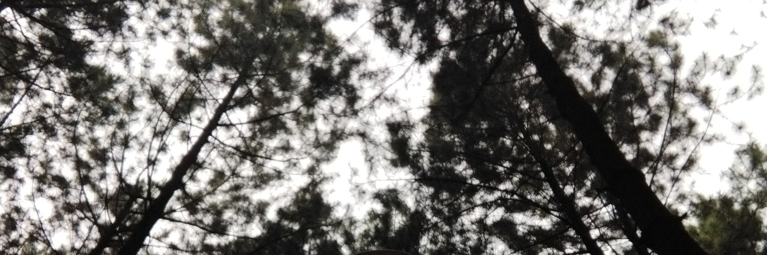 tianggi_ib's profile banner image