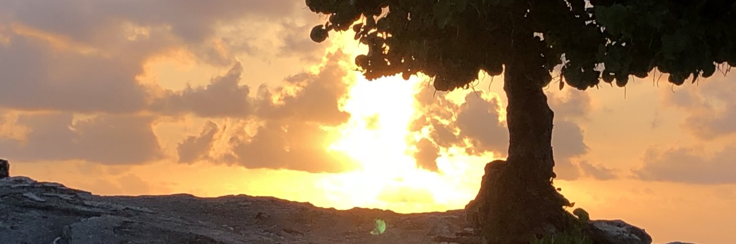 gindersgann's profile banner image