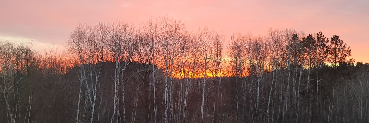 GeekInMN's profile banner image
