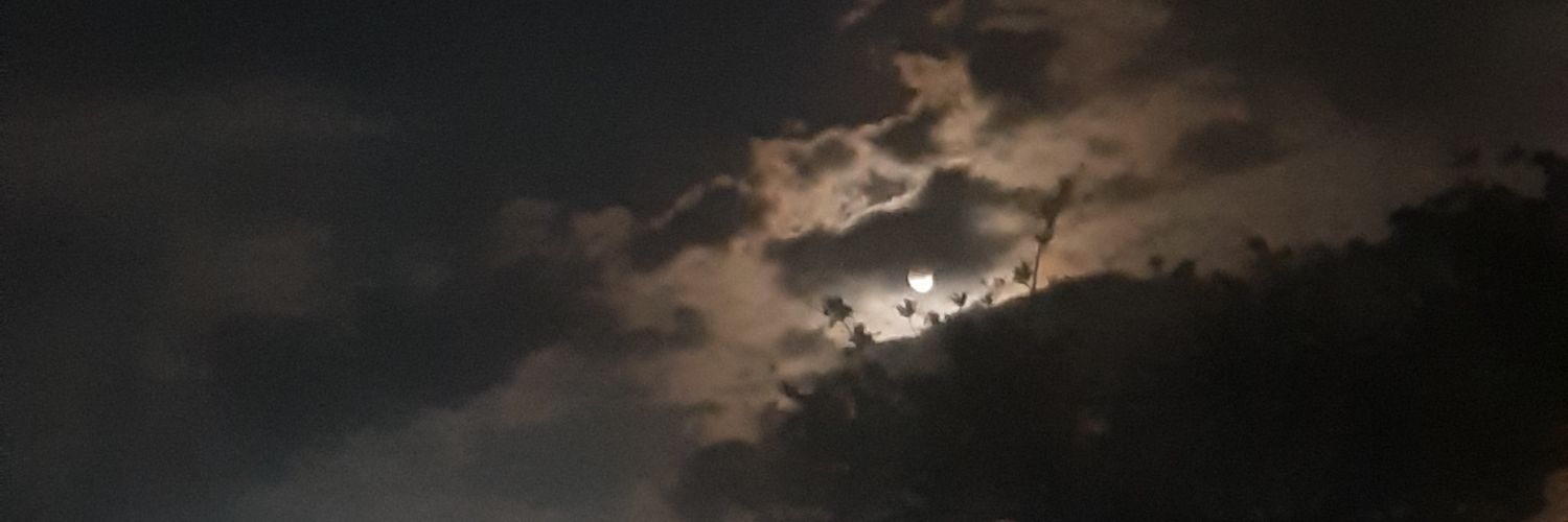 ALEXVZL's profile banner image