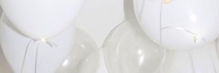 Alicebmdj's profile banner image