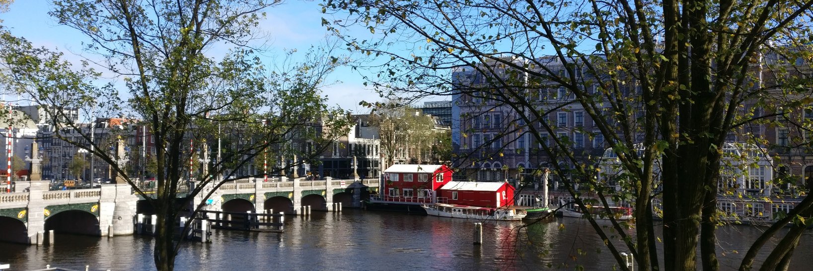 Ana Henriques Narciso banner