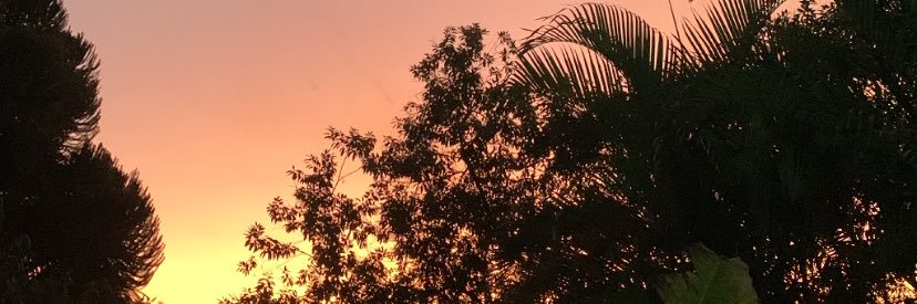 svalentim_'s profile banner image