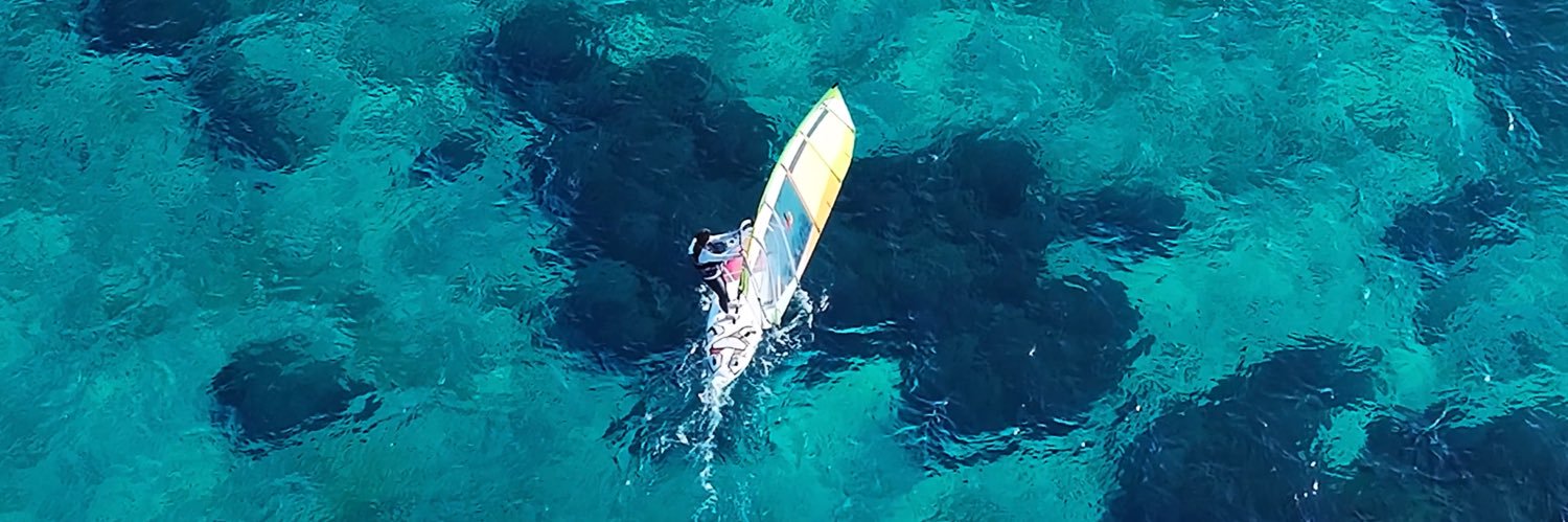 Shiori Nishimura, PhD banner